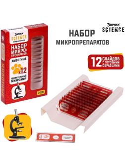Набор для опытов «Набор микропрепаратов», животные
