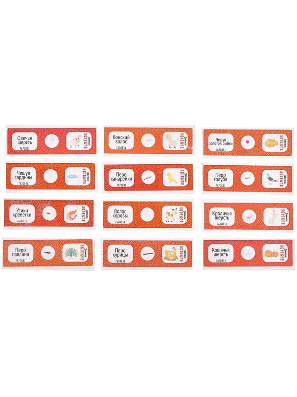 Набор для опытов «Набор микропрепаратов», животные