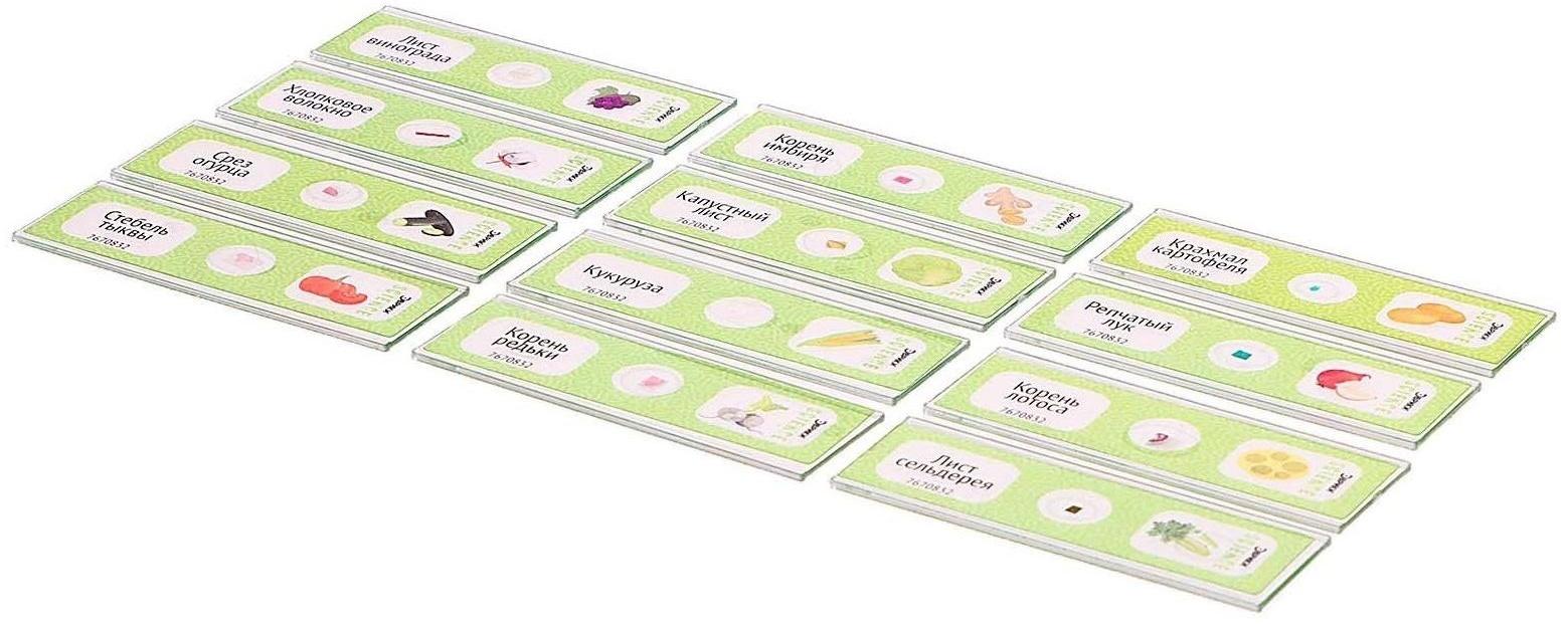 Набор для опытов «Набор микропрепаратов», растения