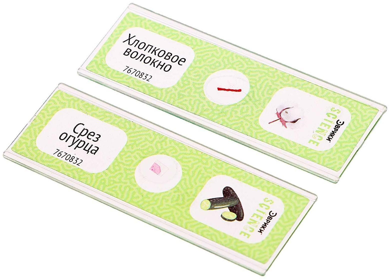 Набор для опытов «Набор микропрепаратов», растения