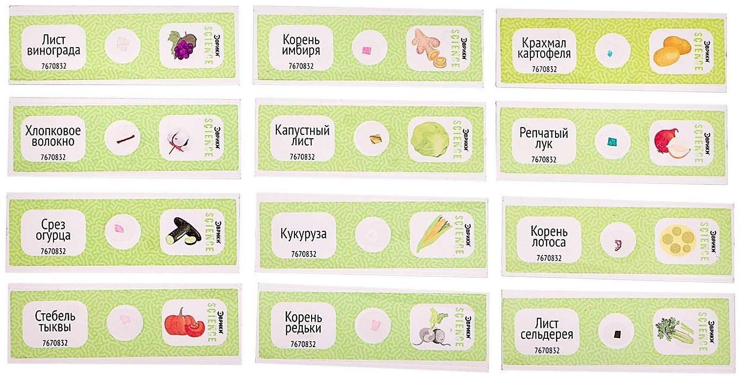 Набор для опытов «Набор микропрепаратов», растения