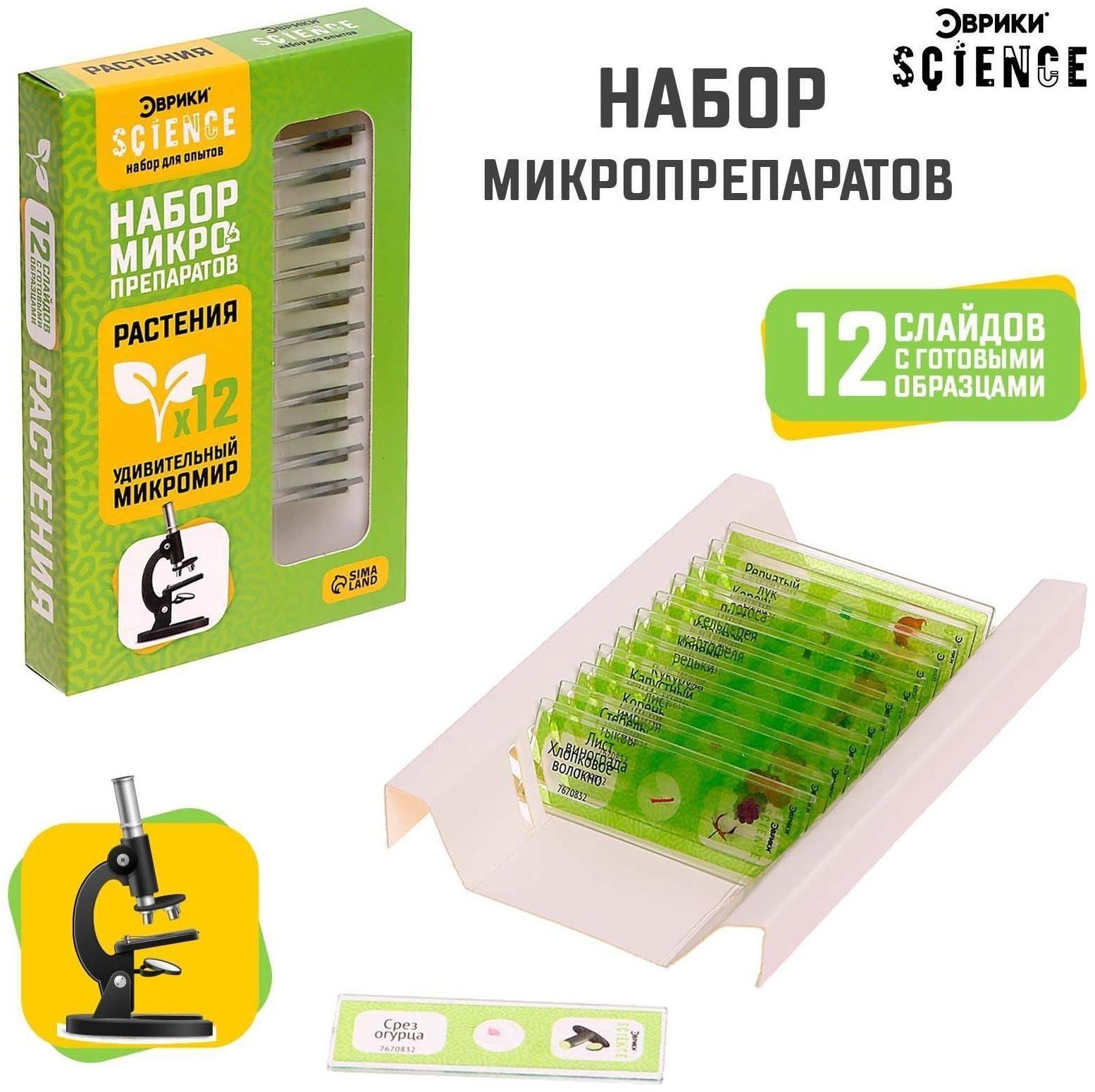 Набор для опытов «Набор микропрепаратов», растения