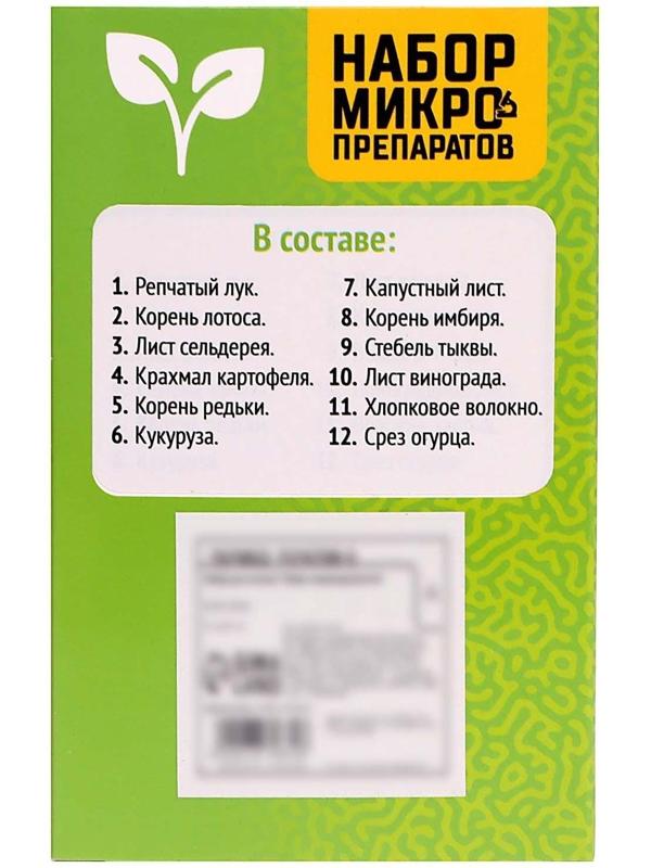 Набор для опытов «Набор микропрепаратов», растения