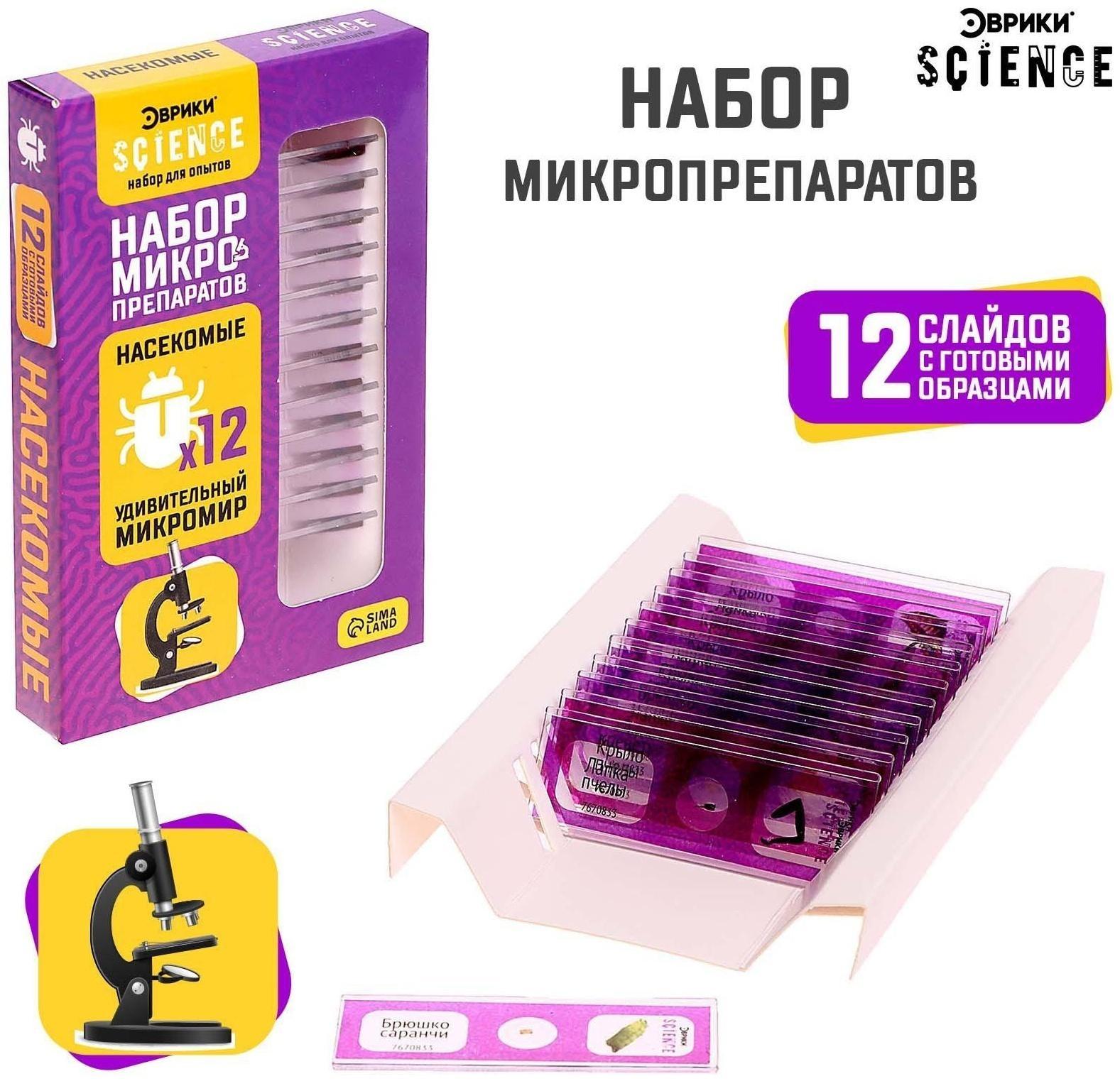 Набор для опытов «Набор микропрепаратов», насекомые