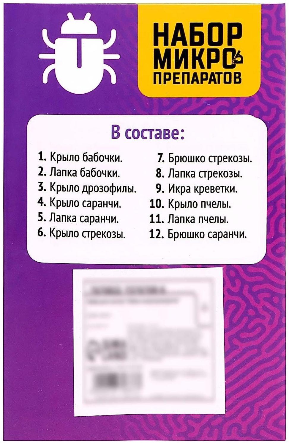 Набор для опытов «Набор микропрепаратов», насекомые
