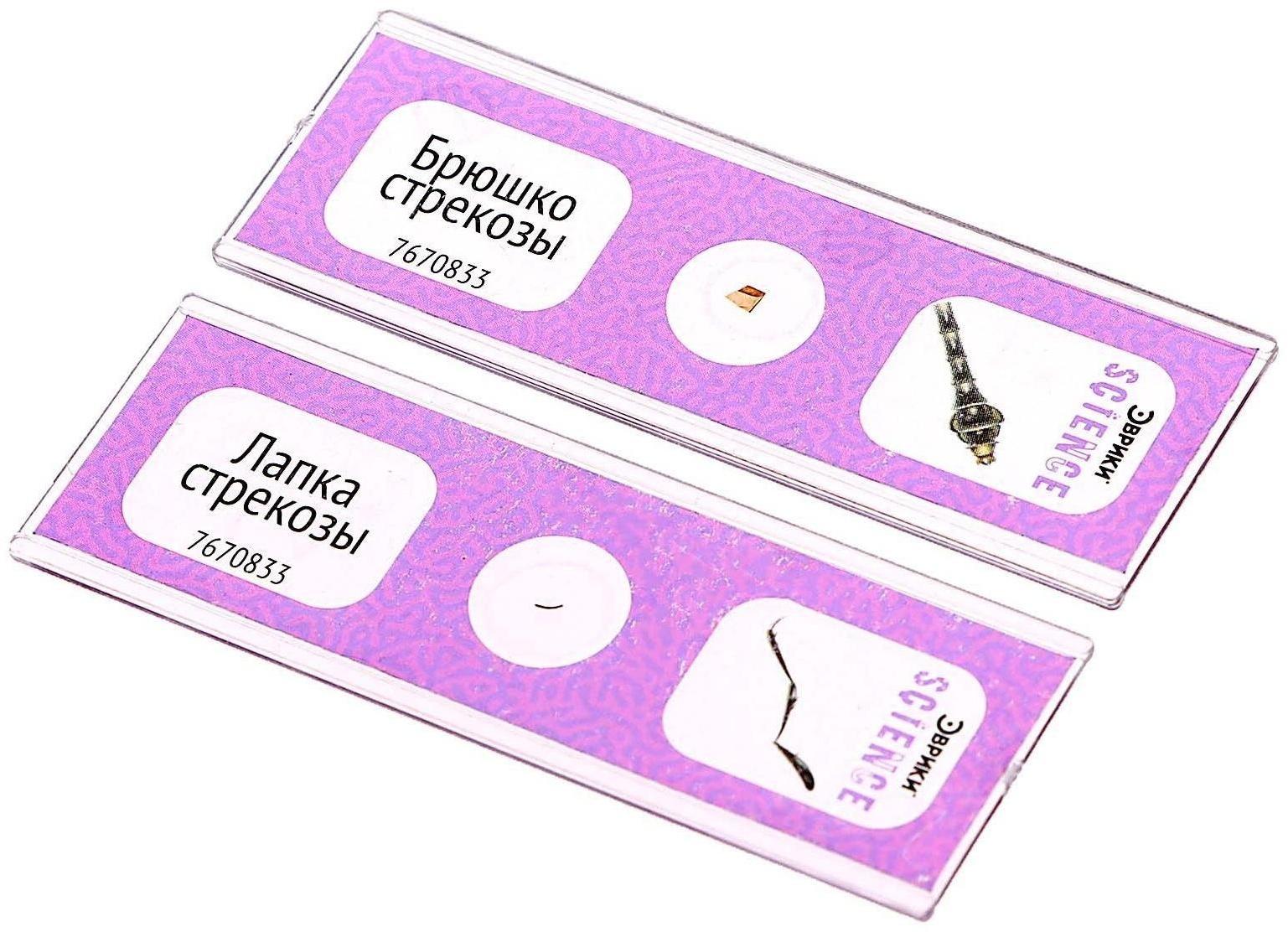 Набор для опытов «Набор микропрепаратов», насекомые