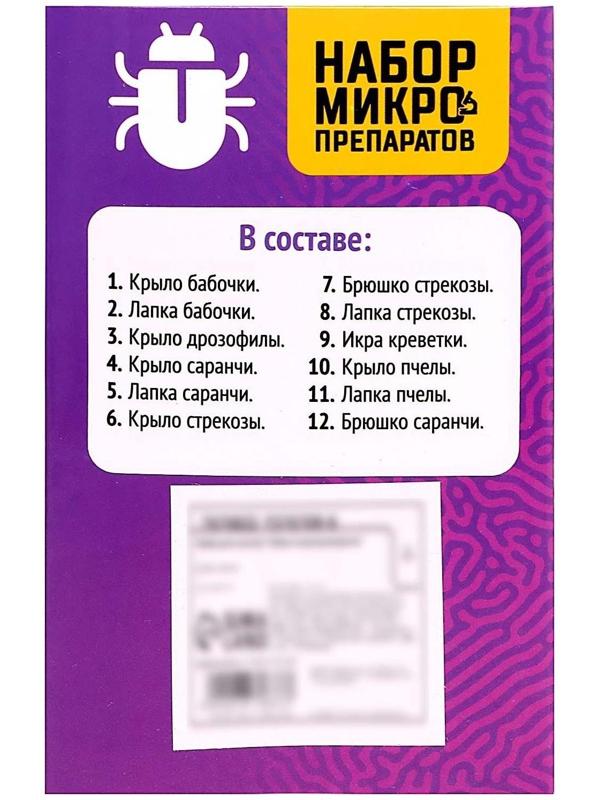 Набор для опытов «Набор микропрепаратов», насекомые