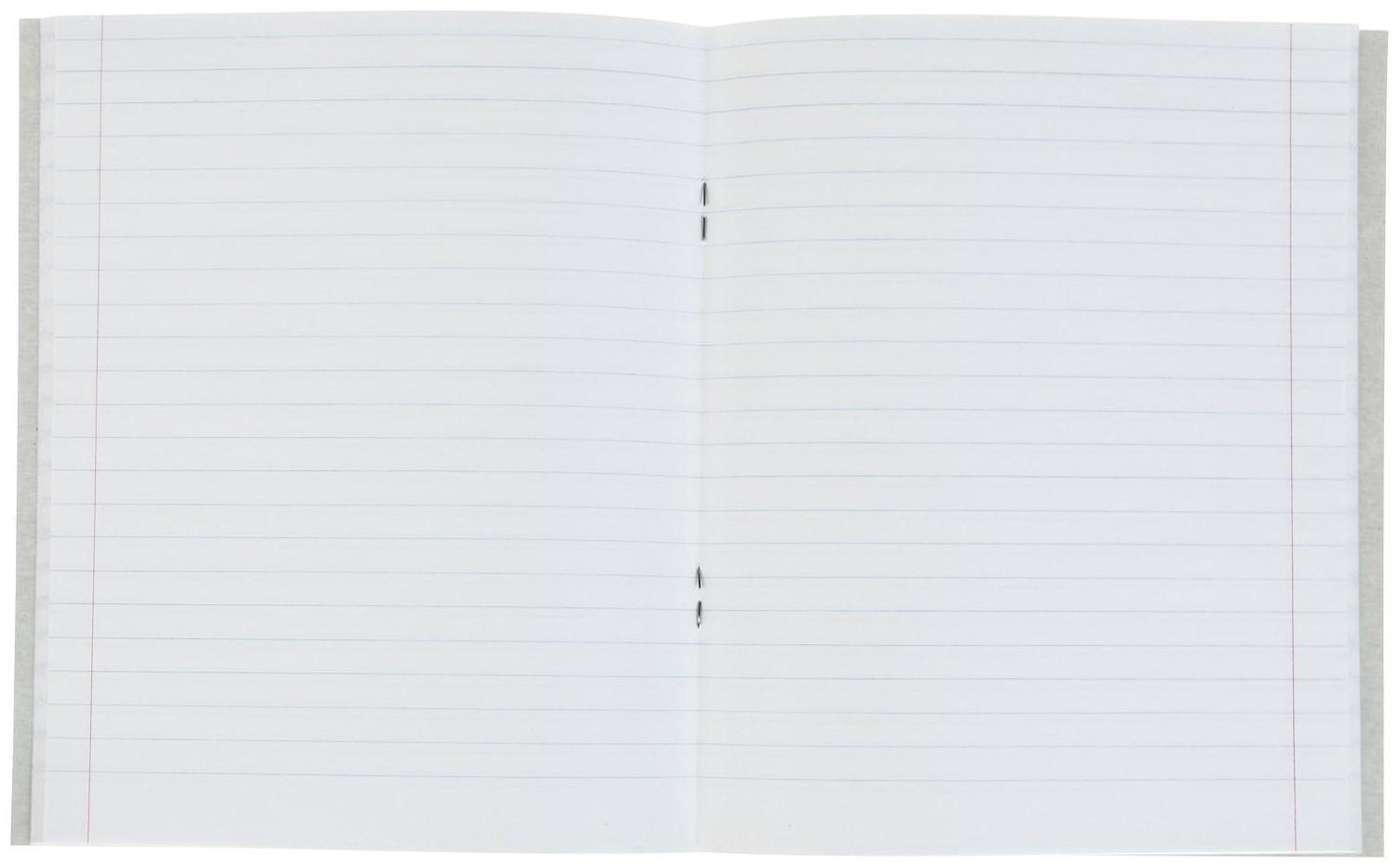 Тетрадь 48 листов в линейку Calligrata 