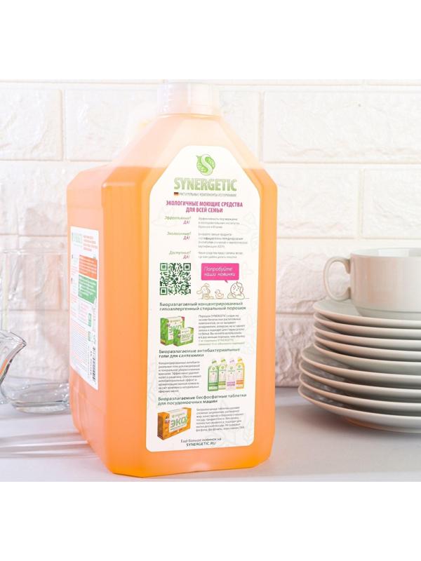 Средство для мытья посуды Synergetic 