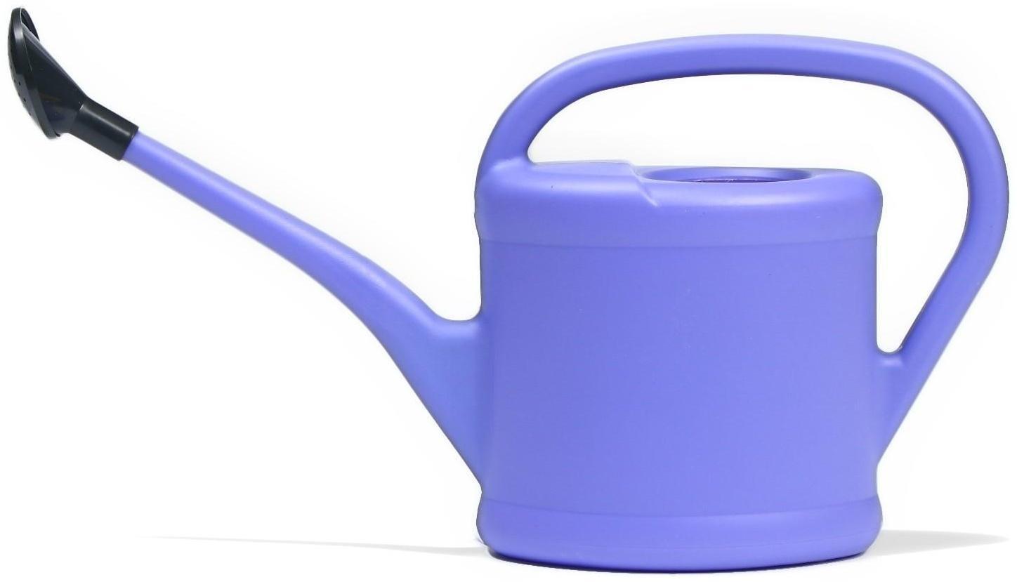 Лейка, 2 л, с рассеивателем, цвет МИКС