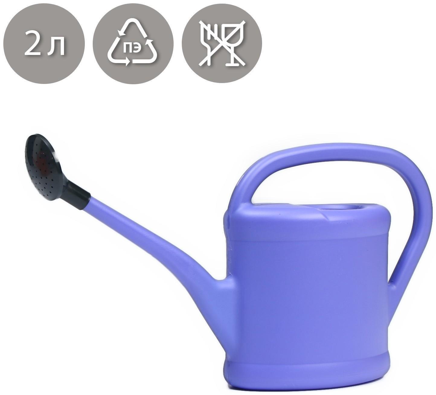 Лейка, 2 л, с рассеивателем, цвет МИКС