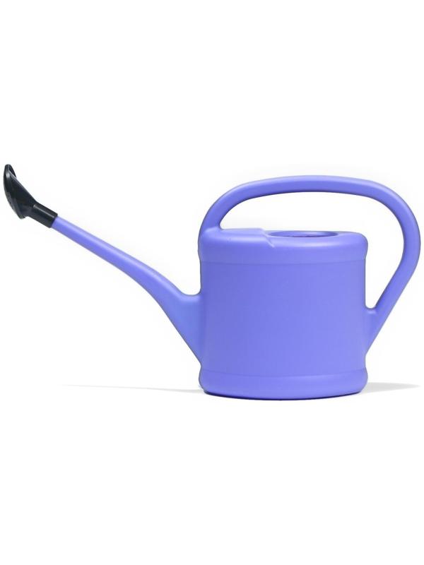 Лейка, 2 л, с рассеивателем, цвет МИКС