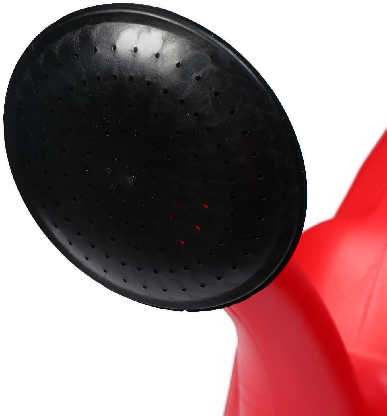 Рассеиватель на лейку объёмом 10 л, d = 31 мм, МИКС, «ЛЮКС»