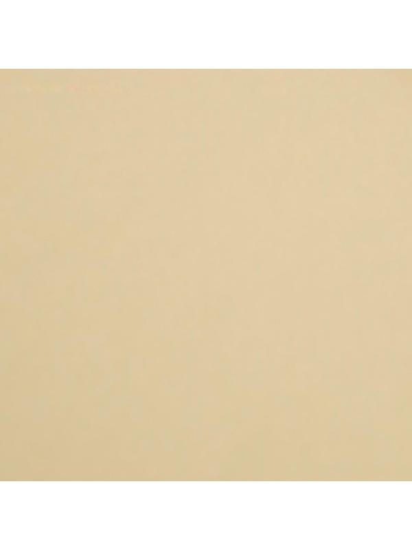 Бумага упаковочная тишью, бежевый, 50 х 66 см