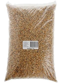 Семена Ячмень 