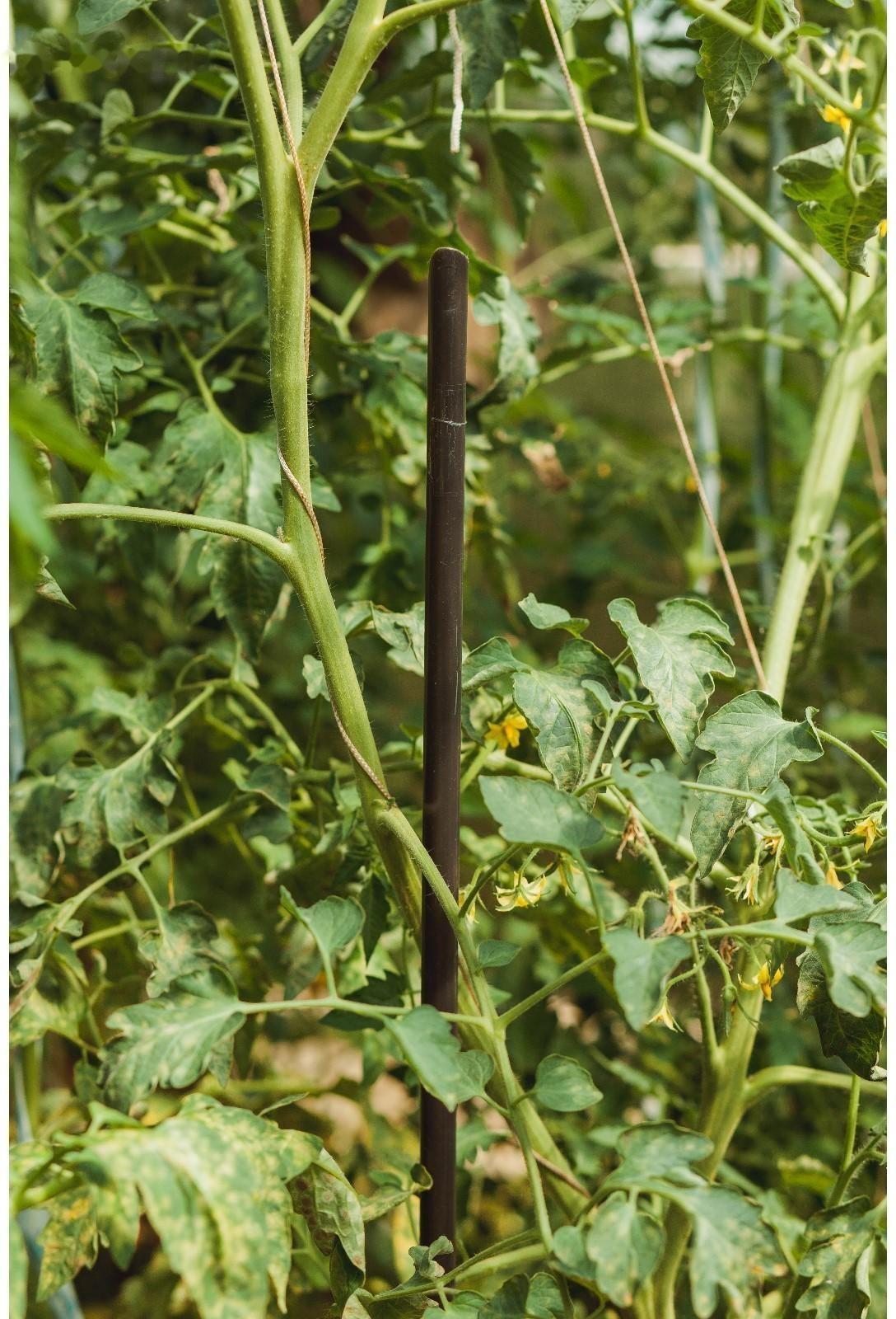 Колышек для подвязки растений, h = 120 см, d = 1.6 см, пластик
