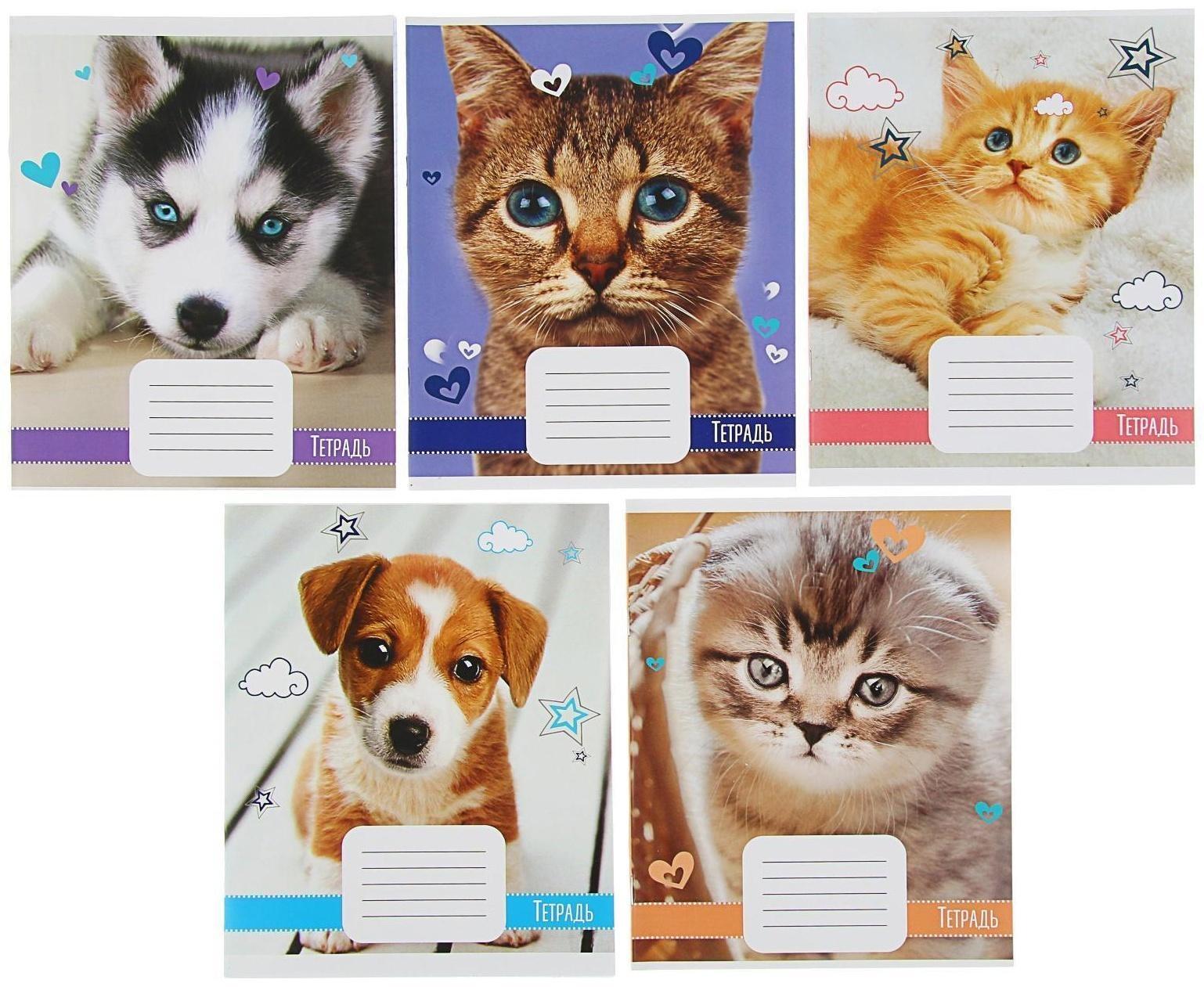 Тетрадь 18 листов в клетку Calligrata 