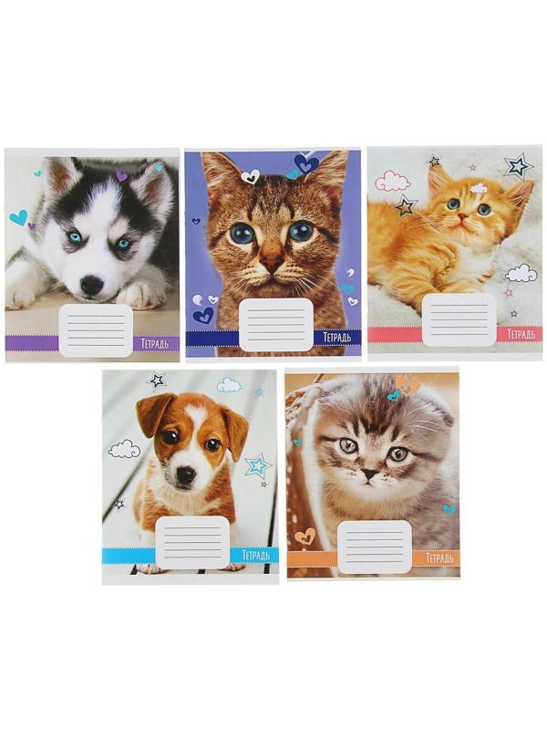 Тетрадь 18 листов в клетку Calligrata 