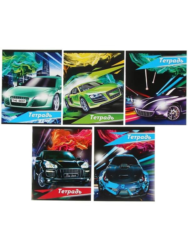 Тетрадь 24 листа в клетку Calligrata 