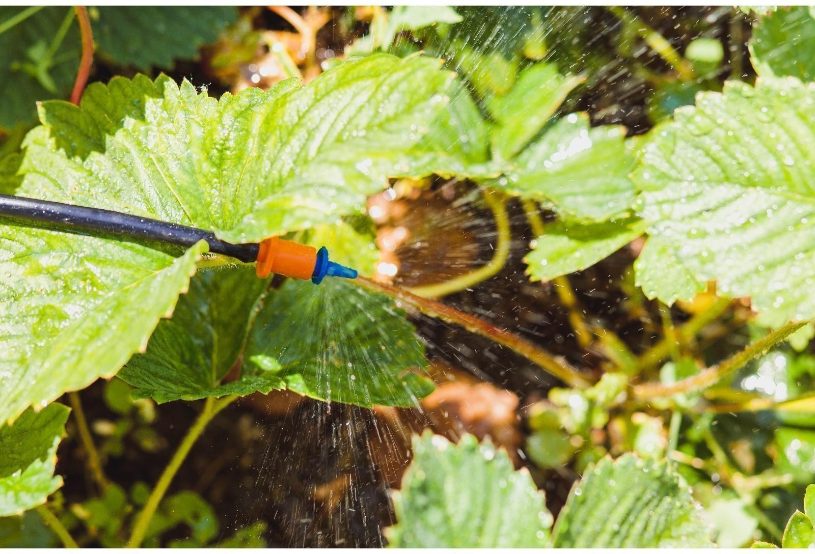 Форсунки для капельного полива, разбрызгивающая / 100 шт.