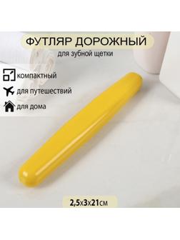 Футляр для зубной щётки, 21 см, цвет МИКС