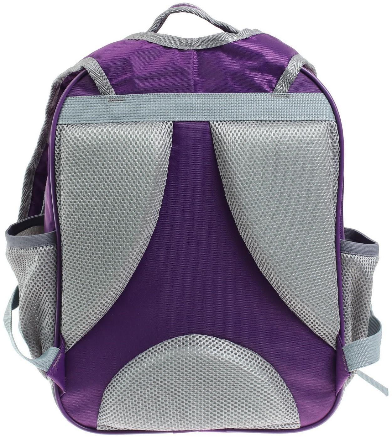 Рюкзак школьный, 37 х 27 х 16 см, эргономичная спинка, Calligrata Б 