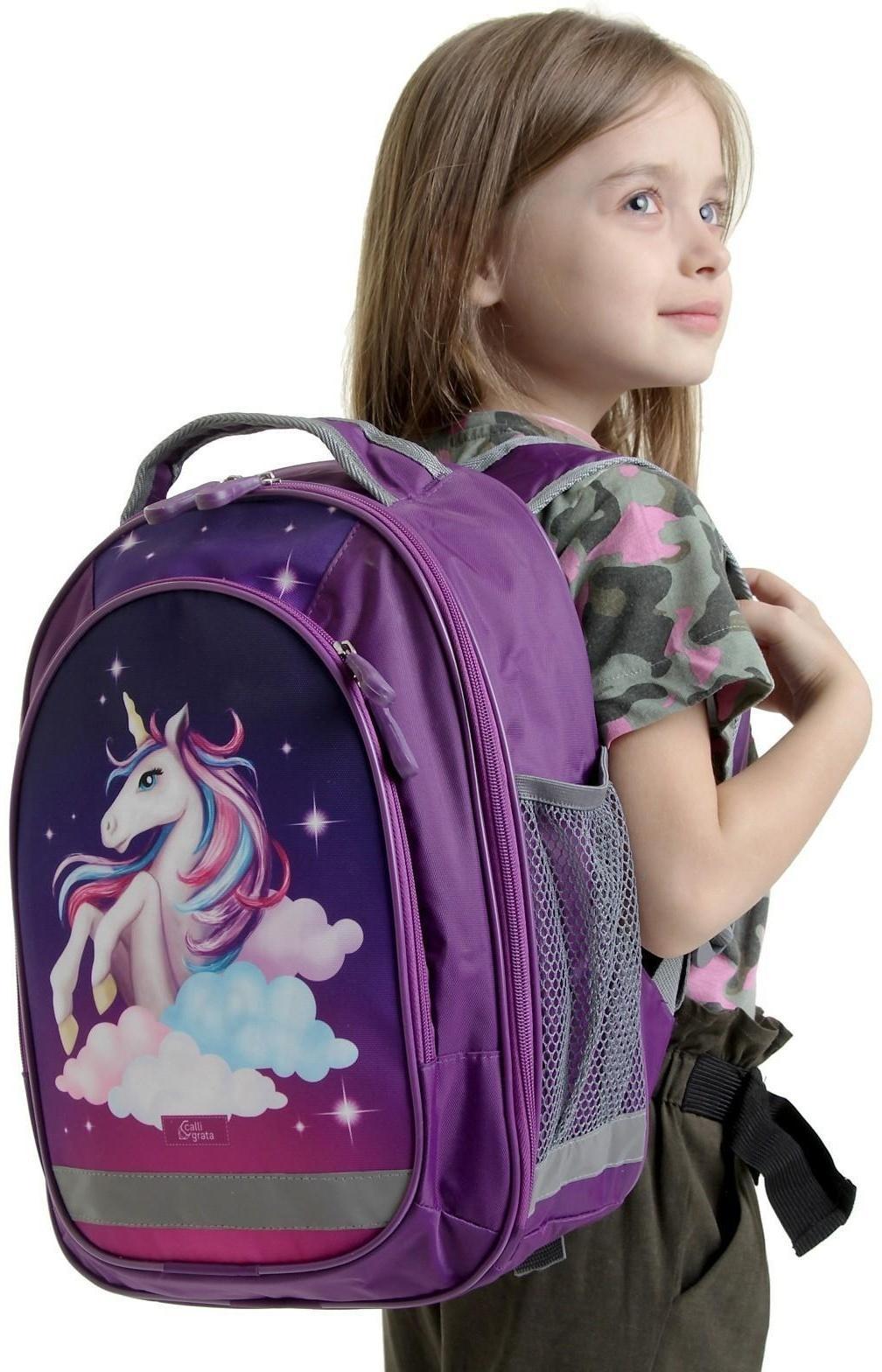 Рюкзак школьный, 37 х 27 х 16 см, эргономичная спинка, Calligrata Б 