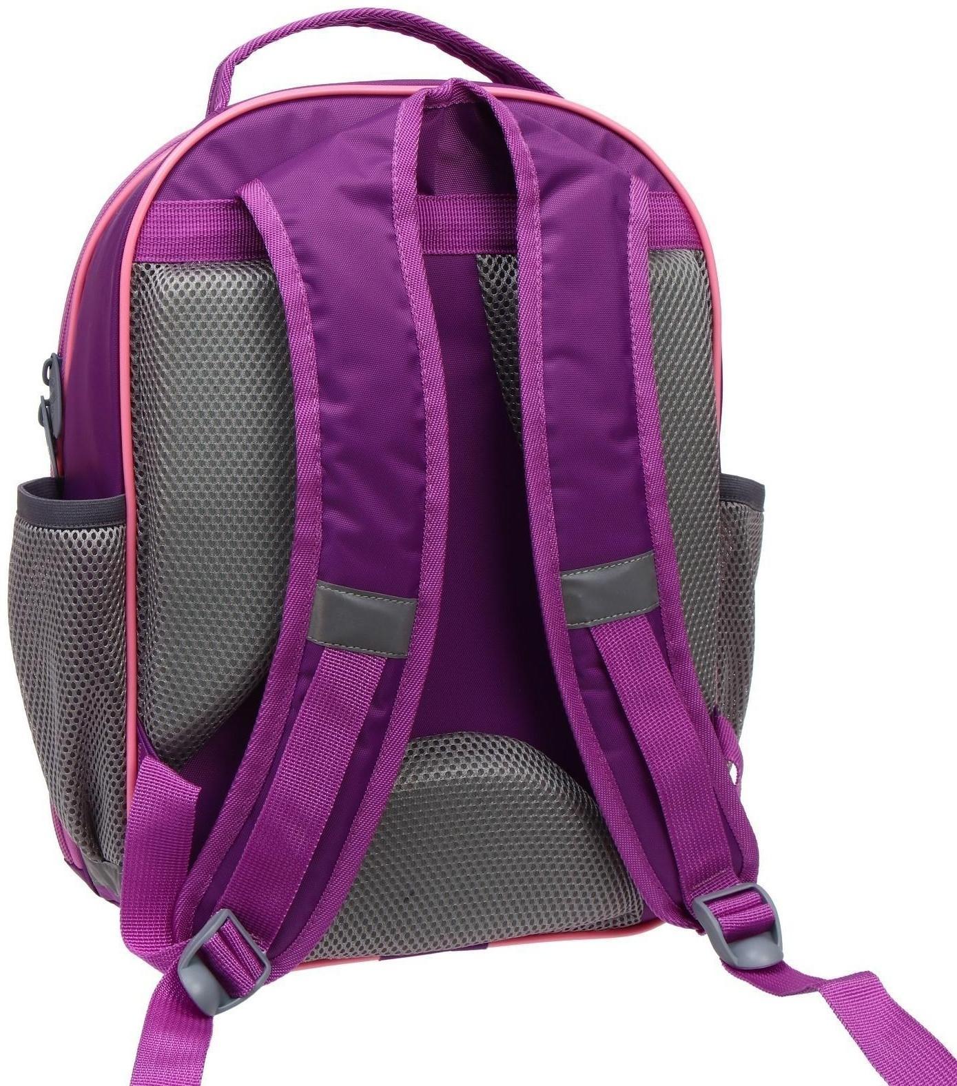 Рюкзак школьный, 37 х 27 х 16 см, эргономичная спинка, Calligrata Б 