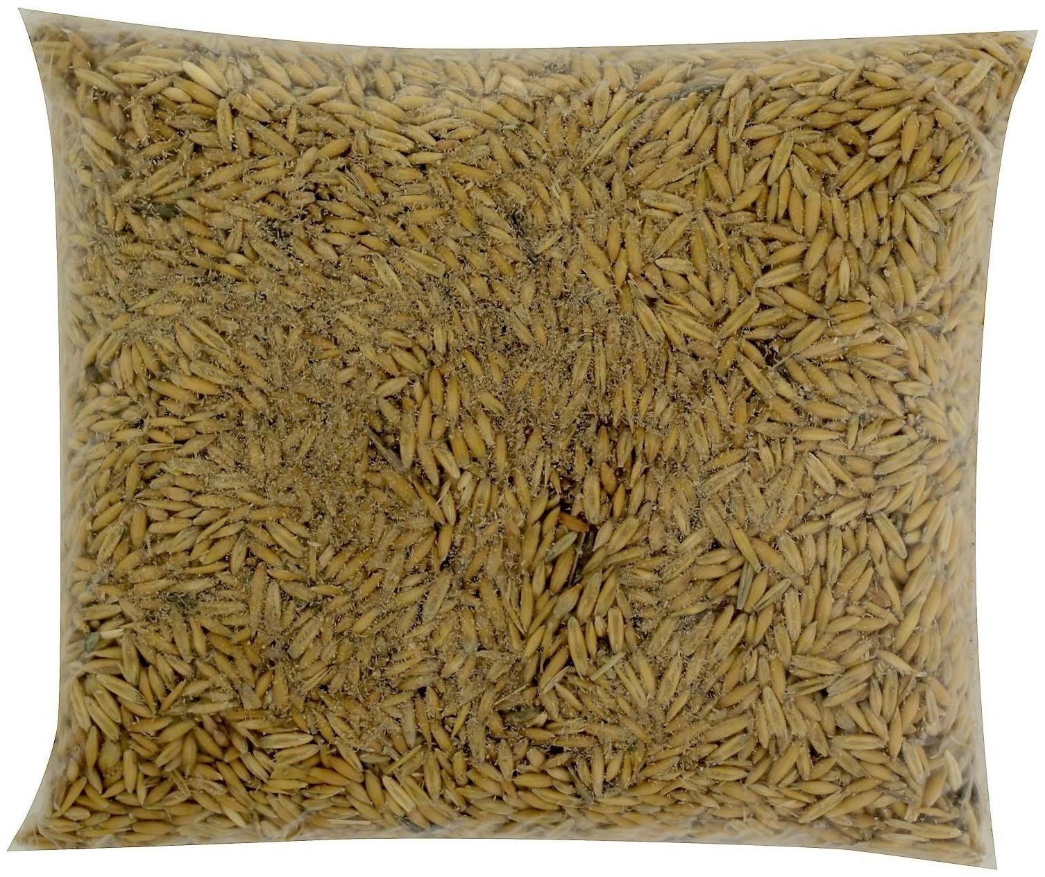 Семена Овес, 800 г