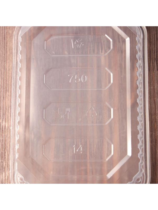 Контейнер одноразовый «Юпласт», 750 мл, 18,6×13,2×4,8 см, цвет прозрачный