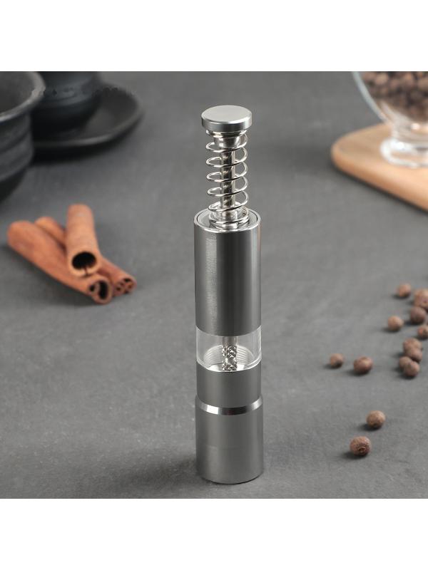 Мельница для специй «Пружина», 15×2,5 см, металлический механизм, цвет металлик