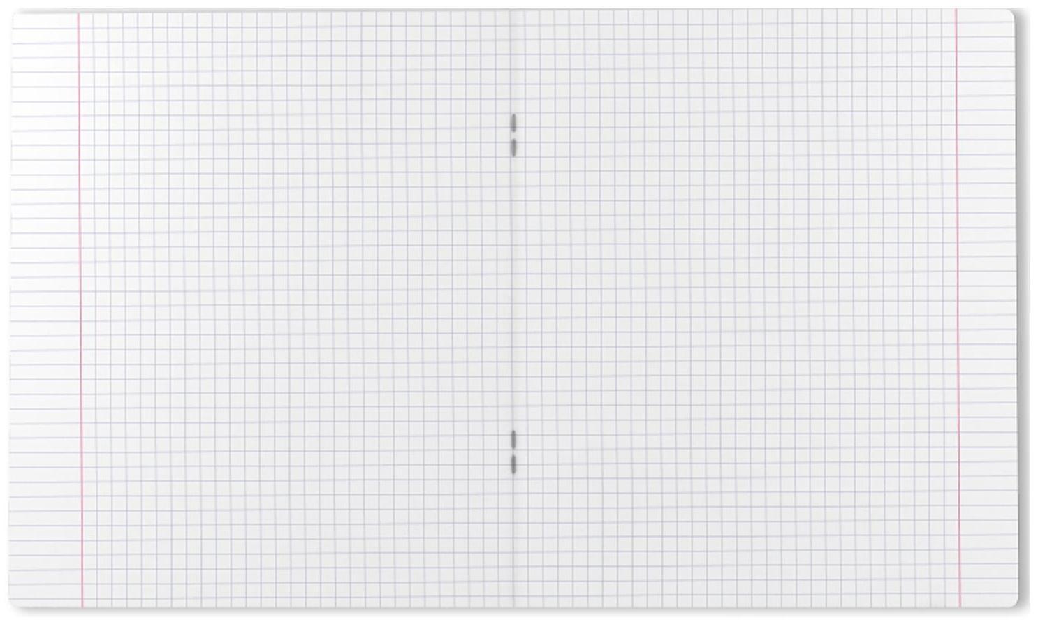 Тетрадь 18 листов в клетку ErichKrause 