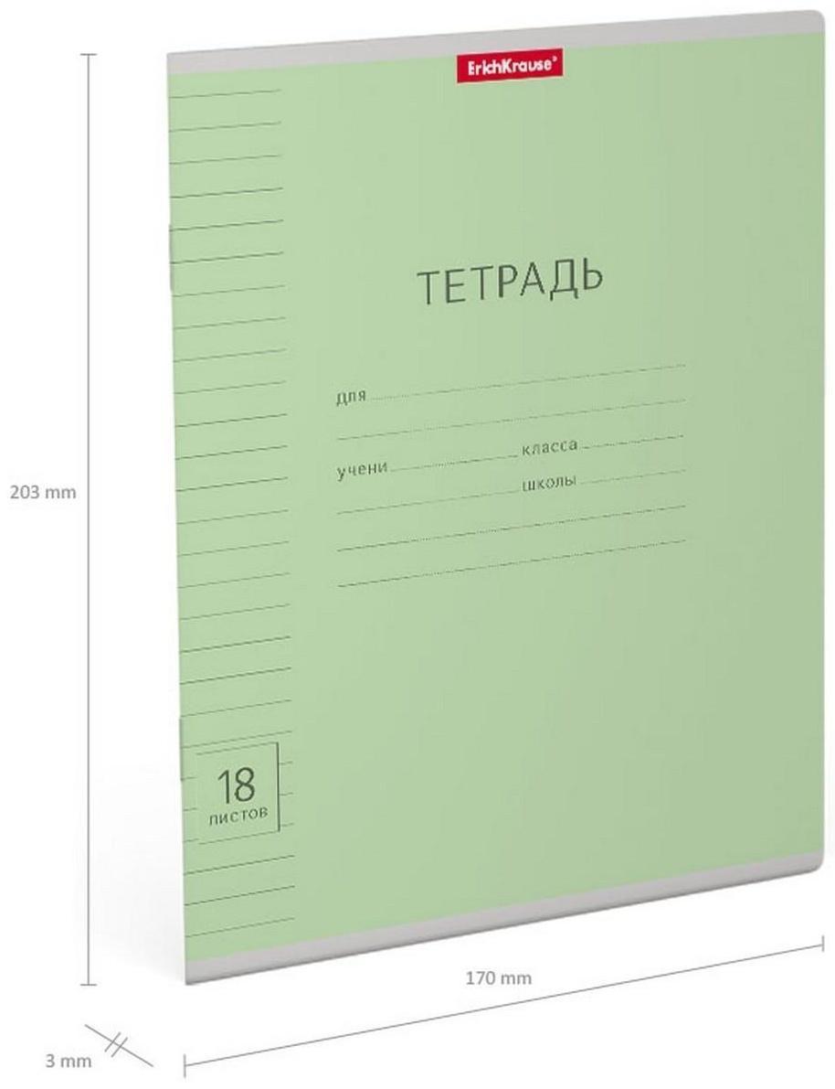 Тетрадь 18 листов в линейку ErichKrause 