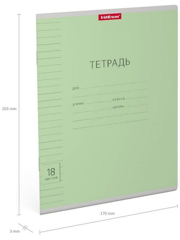 Тетрадь 18 листов в линейку ErichKrause 