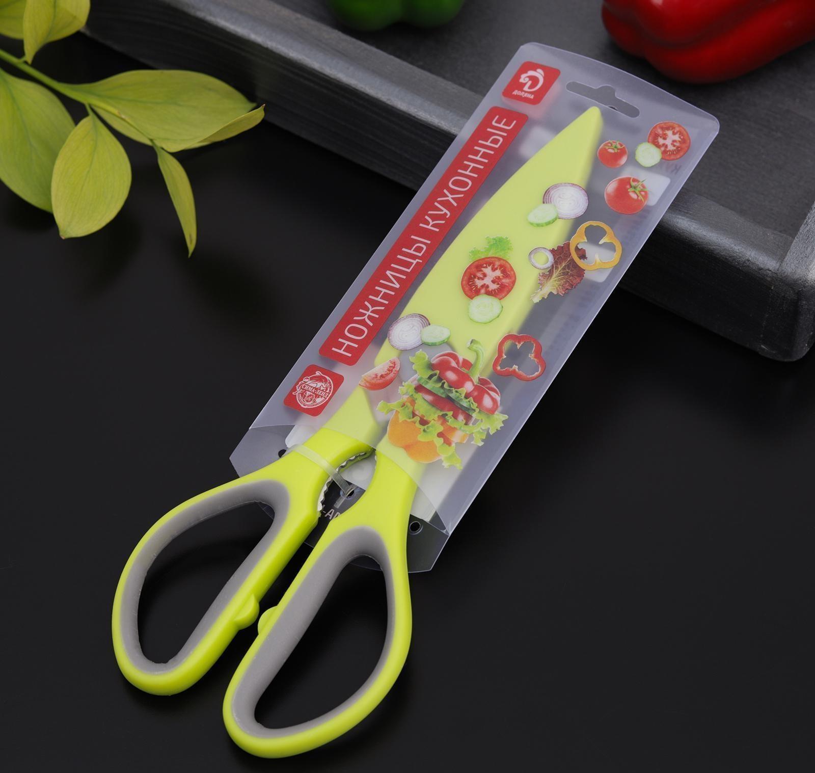 Ножницы кухонные Доляна «Спорт», 22 см, цвет МИКС