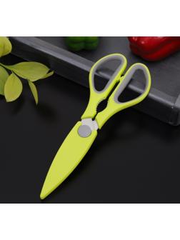 Ножницы кухонные Доляна «Спорт», 22 см, цвет МИКС