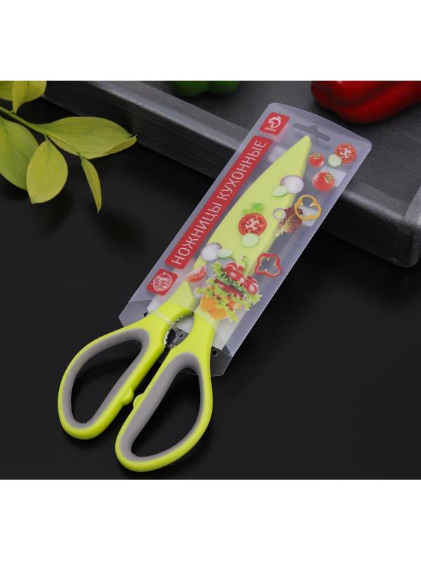 Ножницы кухонные Доляна «Спорт», 22 см, цвет МИКС