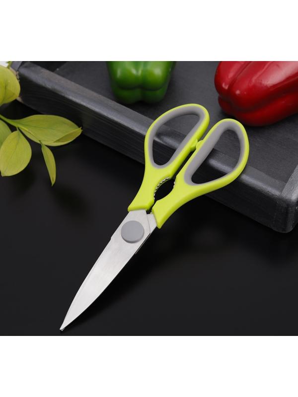 Ножницы кухонные Доляна «Спорт», 22 см, цвет МИКС