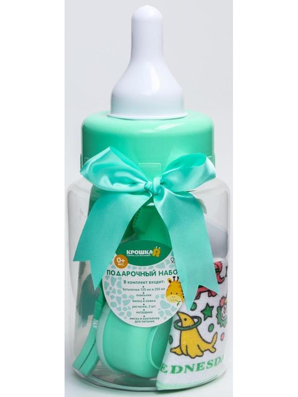 Набор детский «Первый подарок малышу», 10 предметов: бутылочки для кормления 150 и 250 мл, поильник, посуда, нагрудник, расчёска, щётка, цвет зелёный