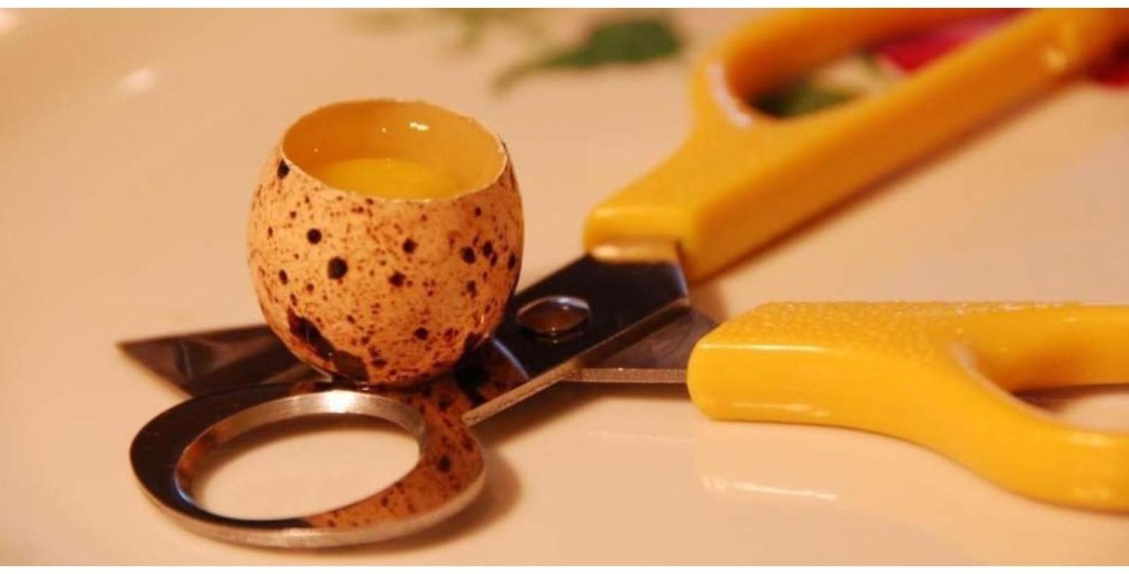 Ножницы для вскрытия перепелиных яиц, 140 мм