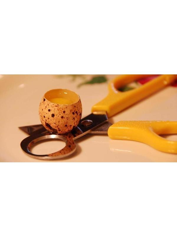 Ножницы для вскрытия перепелиных яиц, 140 мм