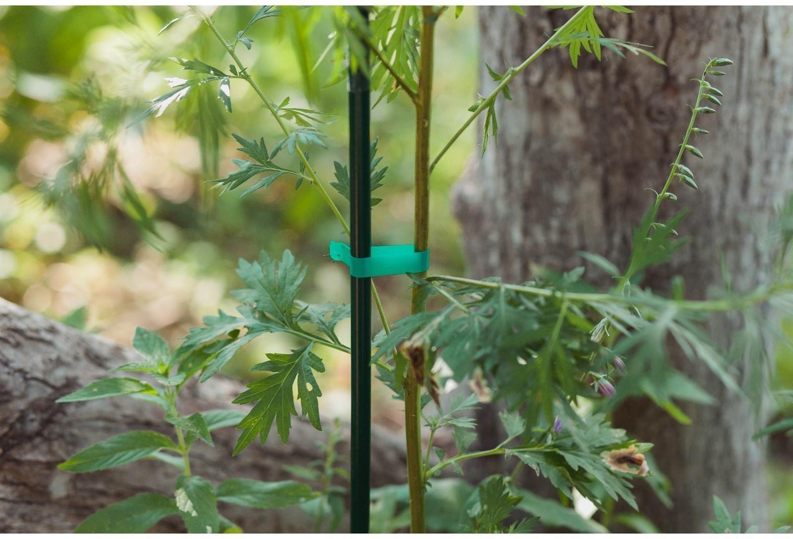 Тапенер для подвязки растений Tapetool «B», лента 25 м + скобы, Greengo