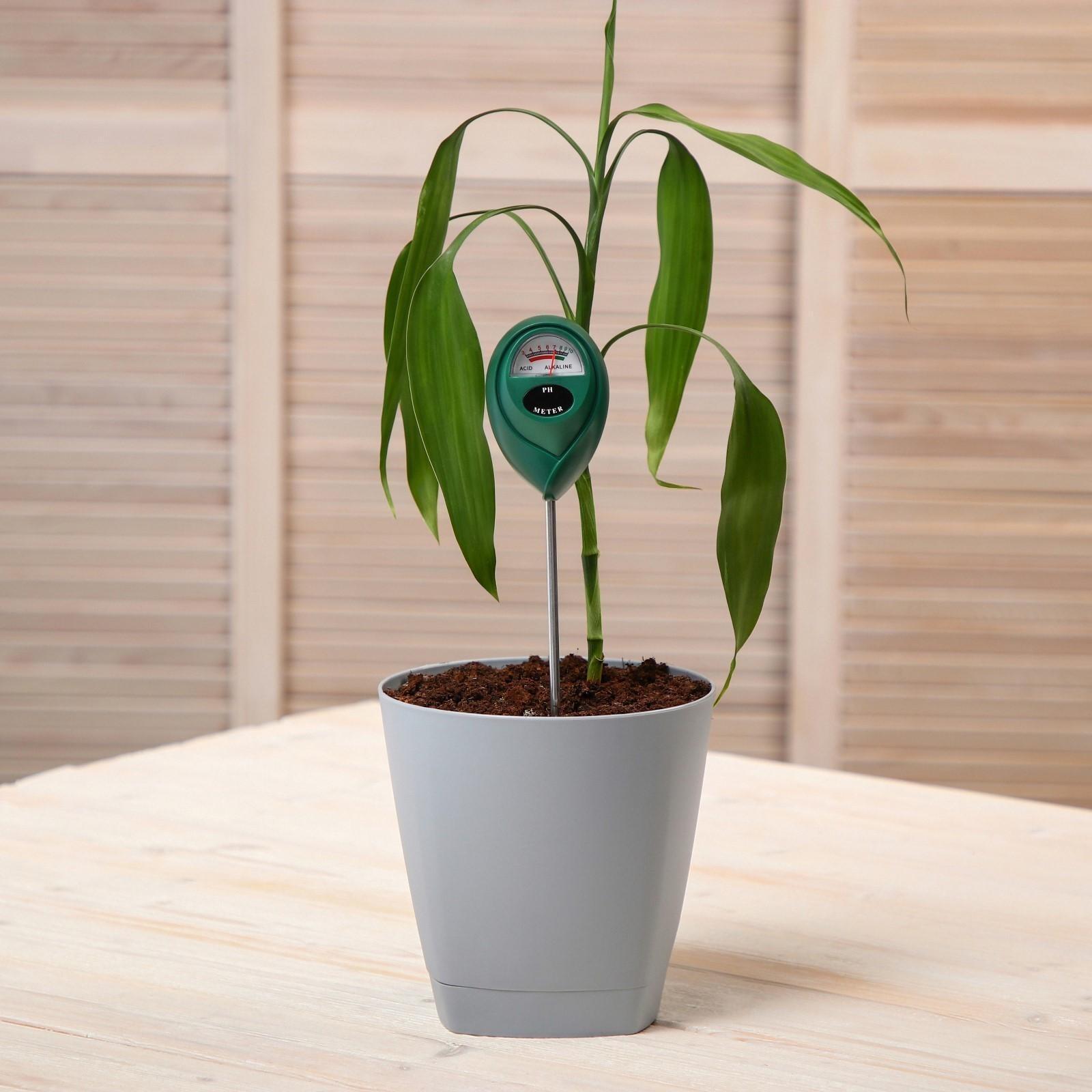 Прибор для измерения кислотности почвы