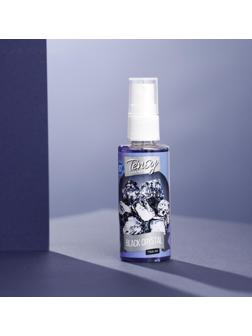 Ароматизатор-спрей Tensy 50 мл, Чёрный Лёд TSS-02