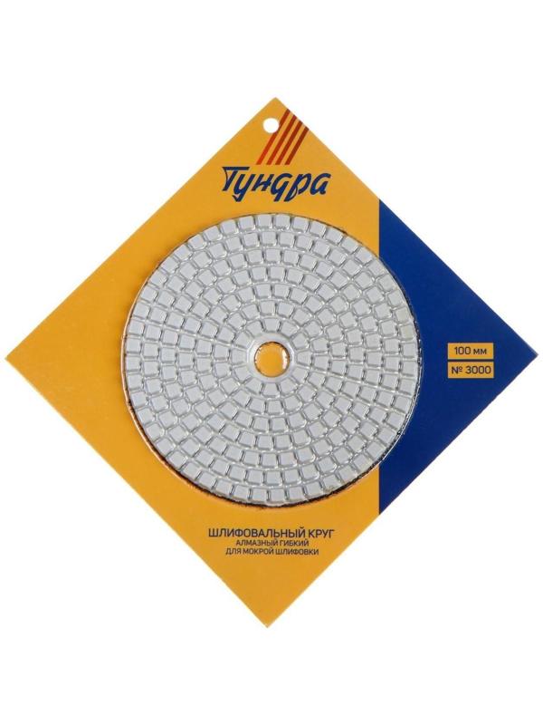 Алмазный гибкий шлифовальный круг ТУНДРА 