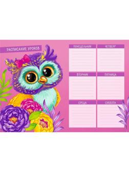 Расписание уроков 