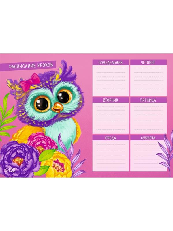 Расписание уроков 