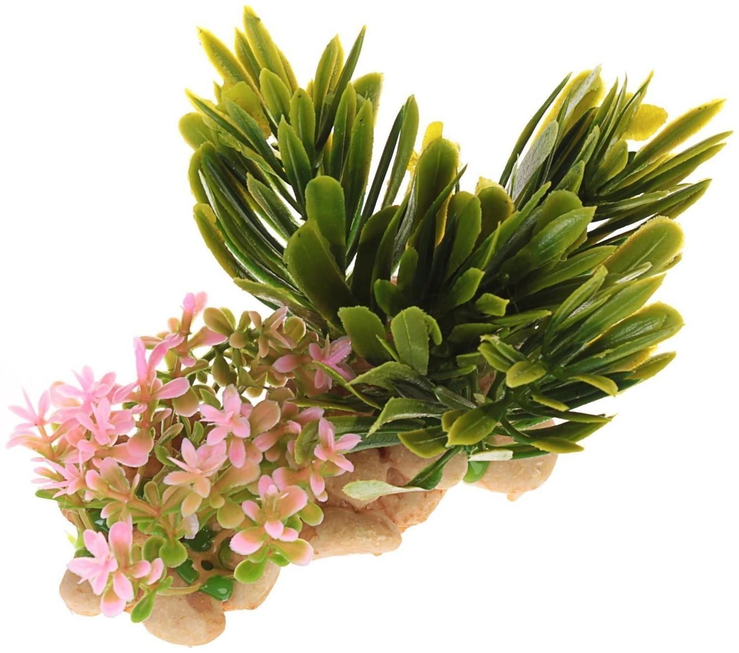 Растение искусственное аквариумное на подставке под камень, 14 х 11 х 7 см