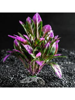 Растение искусственное аквариумное, 15 х 15 х 12 см