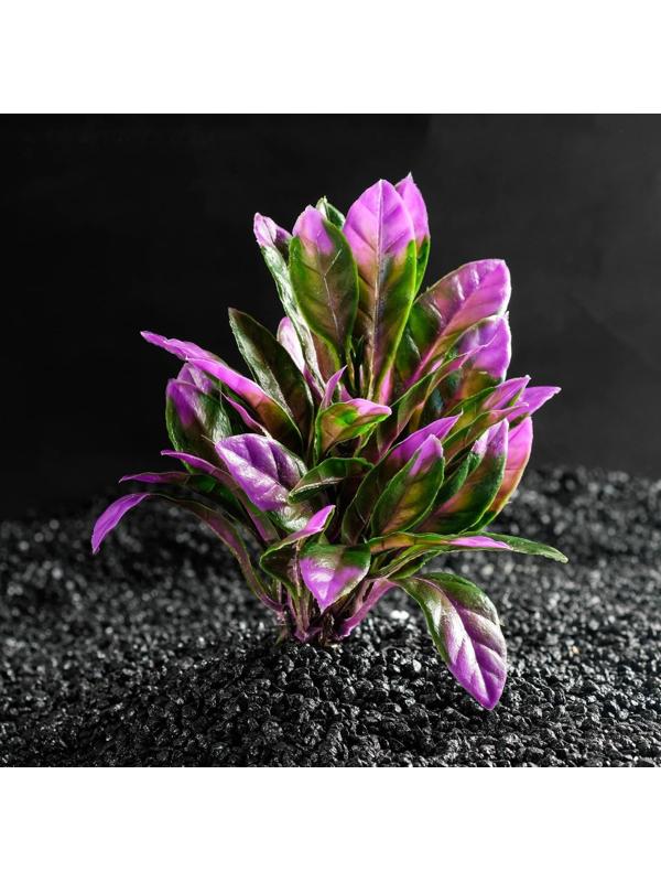 Растение искусственное аквариумное, 15 х 15 х 12 см